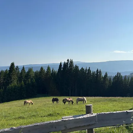 Supreme Σπίτι διακοπών Βόλφσμπεργκ