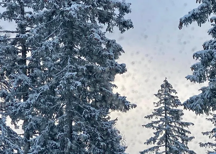 Supreme * Βόλφσμπεργκ