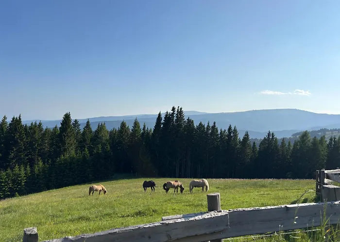 Supreme Σπίτι διακοπών Βόλφσμπεργκ