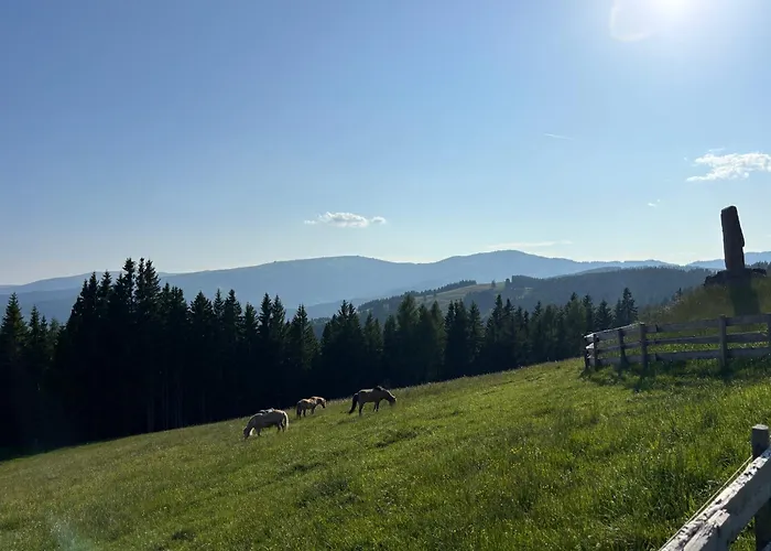 Σπίτι διακοπών Supreme *