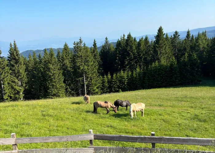 Σπίτι διακοπών Supreme Βόλφσμπεργκ